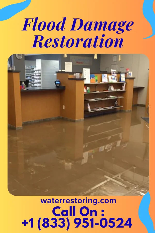 Flood Damage Restoration in Patch Grove, WI