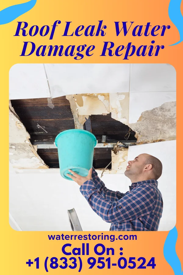 Roof Leak Water Damage Repair in Patch Grove, WI