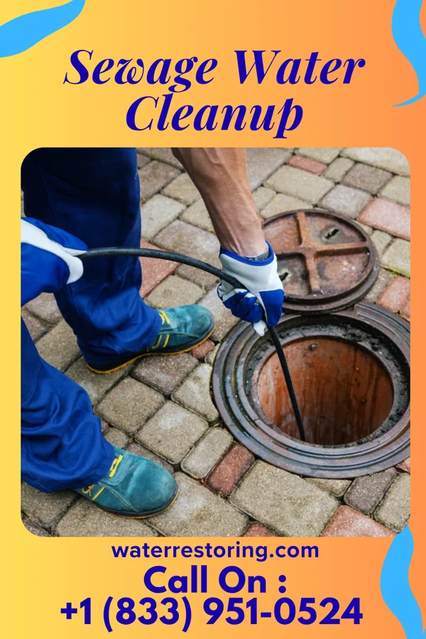 Sewage Water Cleanup in Patch Grove, WI